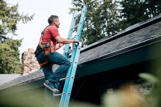 Fast & Reliable Emergency Roof Repairs in Savoy, IL